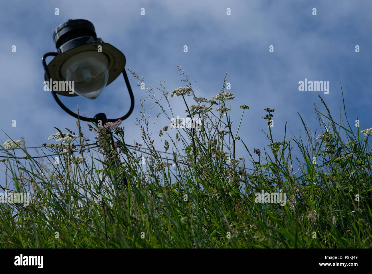 Suchen nach einem alten viktorianischen Lampe über dem Gras zu sehen und gegen den blauen Himmel in Scarborough, Yorkshire, England, Großbritannien Stockfoto