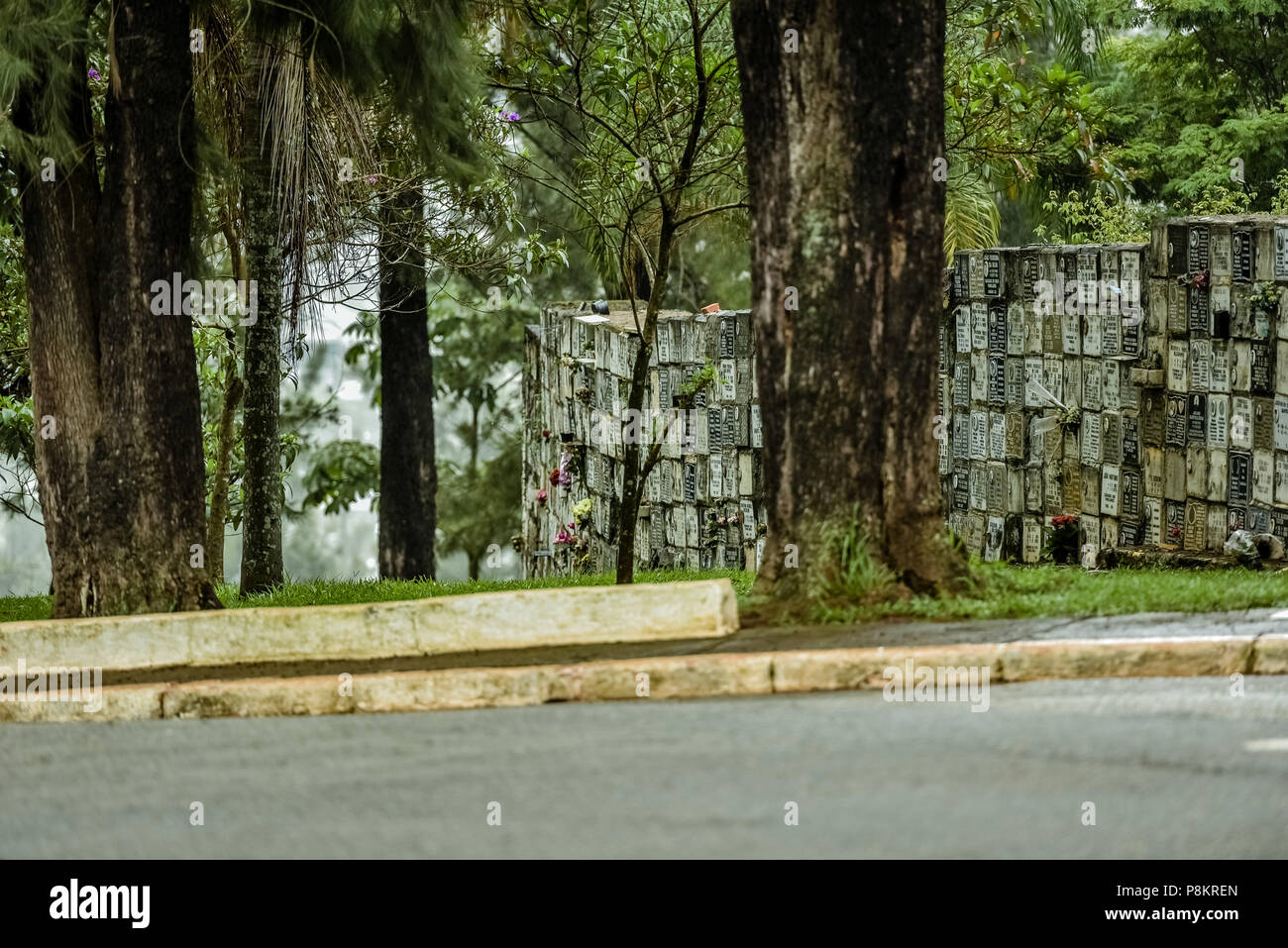 SÃO PAULO, SP - 08.03.2018: GRUPO GR.DE APURAÇÃO OSSADAS da DITADURA - Menschenrechte Gruppen wollen Gerechtigkeit gerichtliche Genehmigung, mit der die Stadt São Paulo die Gebeine der Städtischen Friedhof Quarta Parada zu verbrennen, im östlichen Teil der Stadt zu widerrufen. Nach der Wahrheit Kommission, die Teil der Knochen würde im Kontext der Militärdiktatur in Brasilien, zwischen 1964 und 1985, welche Untersuchungen in politische beeinträchtigen könnte, verschwindet während der Diktatur. Im Fadenkreuz der Peruanische Friedhof können Sie auch die sterblichen Überreste der Gegner des Regimes, die nicht Stockfoto