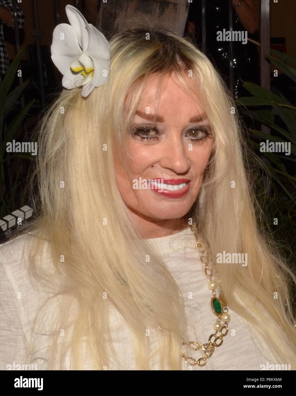 Palm Springs, Kalifornien, USA. 25 Okt, 2014. MAMIE VAN DOREN besucht die Palm Springs historische Gesellschaft feiern Mamie van Doren leben an der Andreas Hotel in Palm Springs für die Eröffnung retrospektive Ausstellung in der McCallum Adobe Museum. Credit: Billy Bennight/ZUMA Draht/Alamy leben Nachrichten Stockfoto