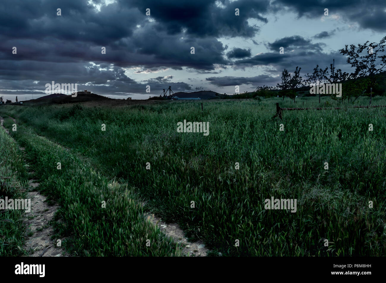 Unbefestigte Country Track durch grüne zügellos grasbewachsenen Ebenen mit Gewitterwolken auf grauem Himmel im Sommer Stockfoto