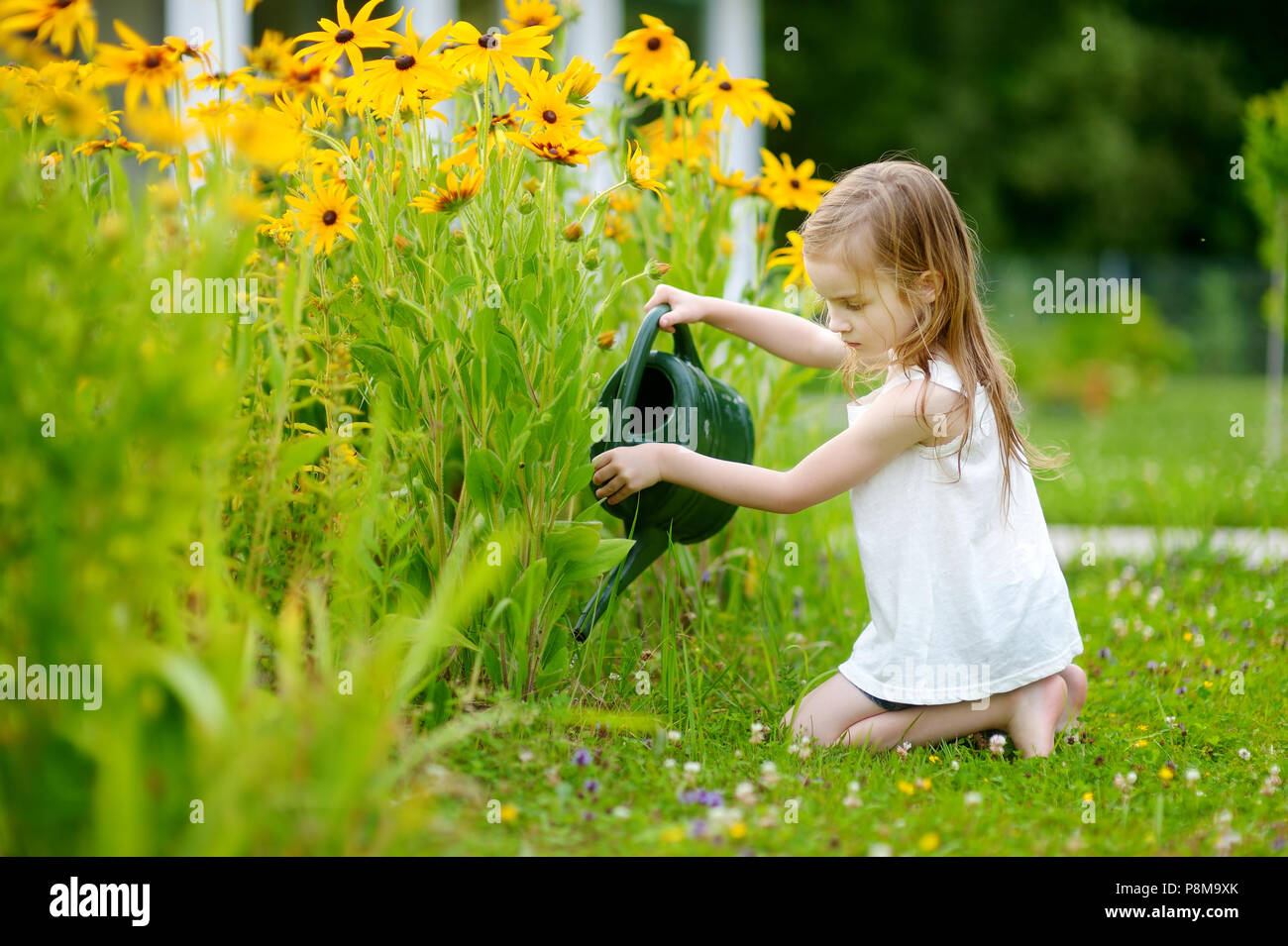 Niedliche kleine Mädchen Bewässerung von Pflanzen im Garten Stockfoto