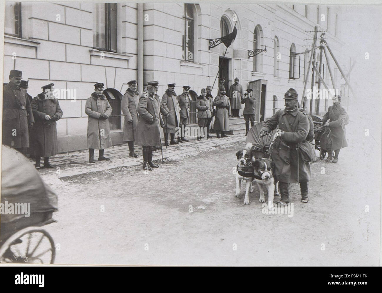 . 576 Vorbeimarsch des BildID Hundezuges in Brzezany (15438068) Stockfoto