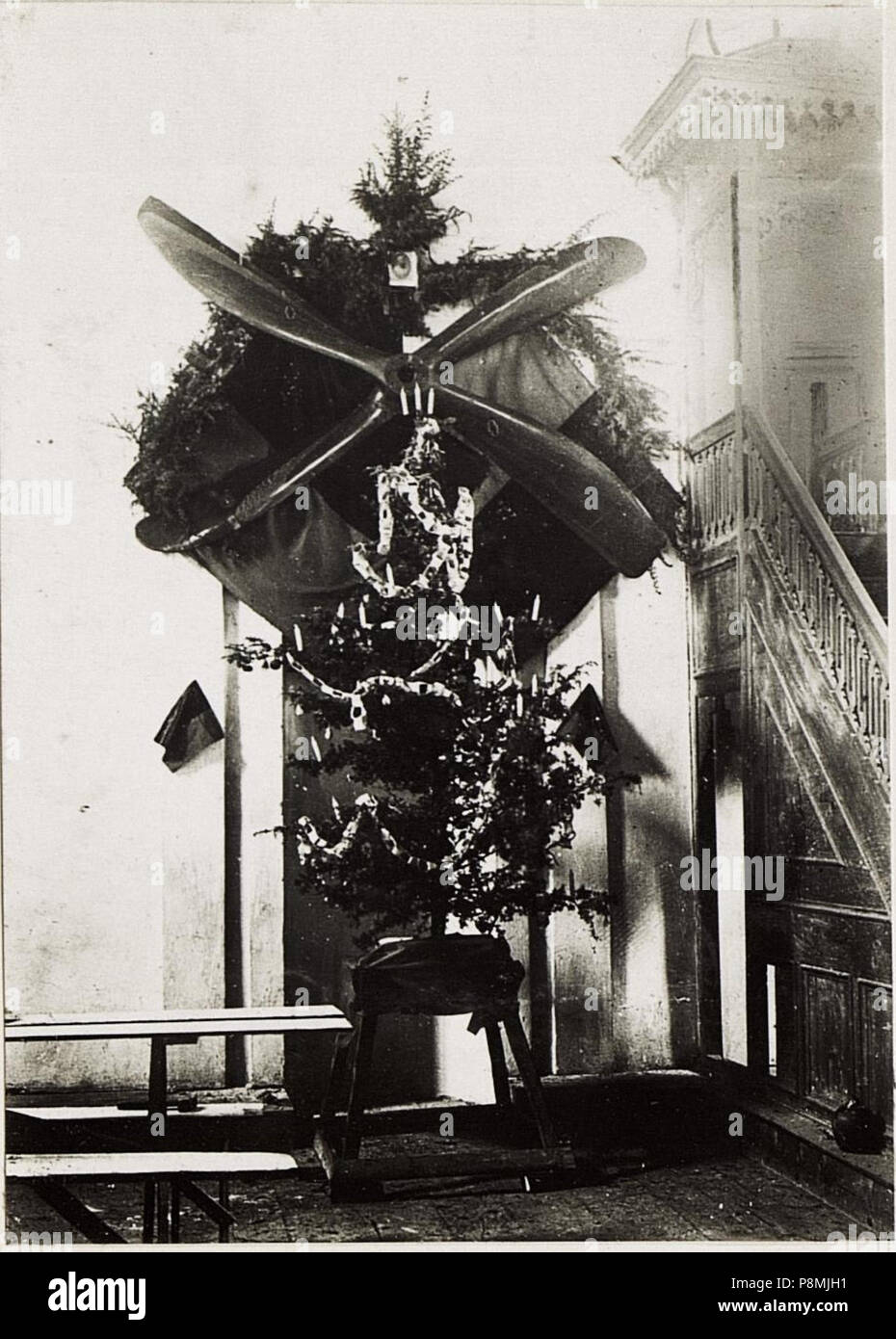 580 Weihnachtsbaum der 15. Fliegerkompanie. 24.12. In einer türkischen Moschee. (BildID) 15576397 Stockfoto