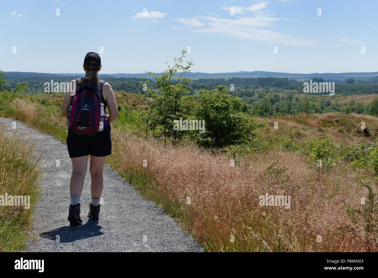 Eine Frau, die zu Fuß in der Galloway Forest Park, Dumfries und Galloway, Schottland, Großbritannien, im Sommer Stockfoto