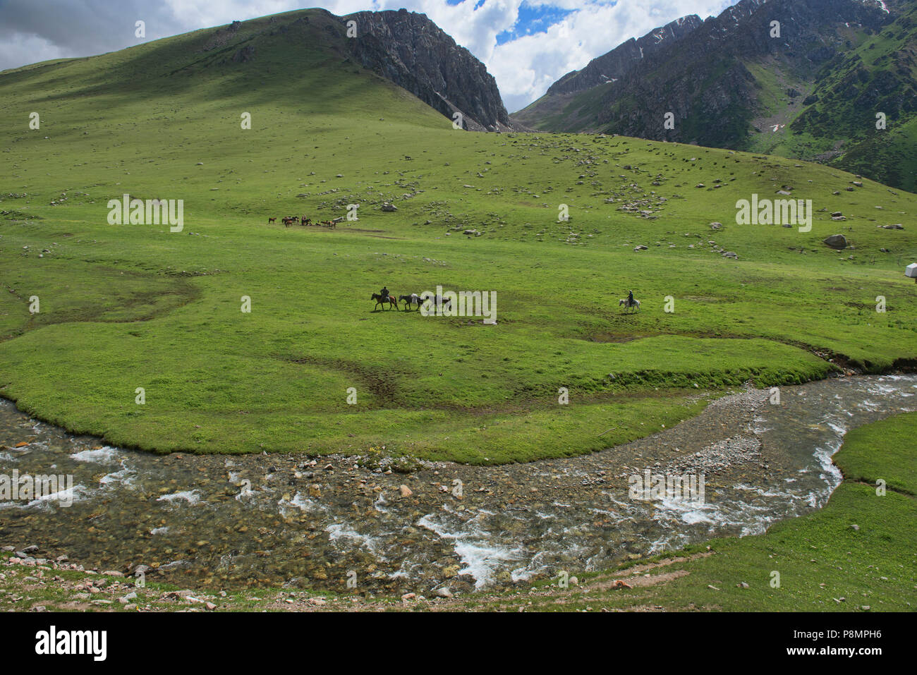 Grüne Landschaft, Jyrgalan Tal, Kirgisistan Stockfoto