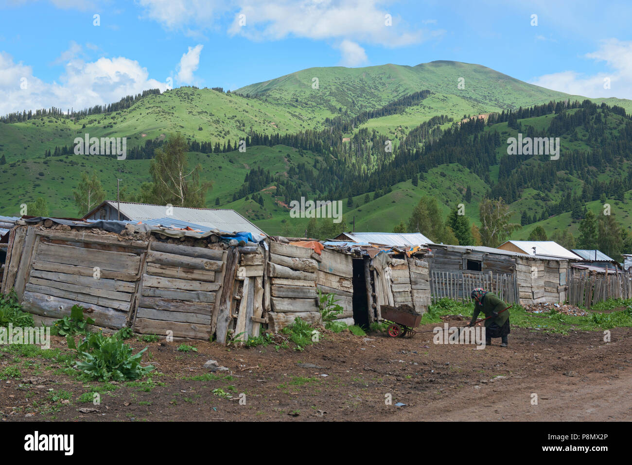 Das Leben in der ländlichen Jyrgalan Tal, Kirgisistan Stockfoto
