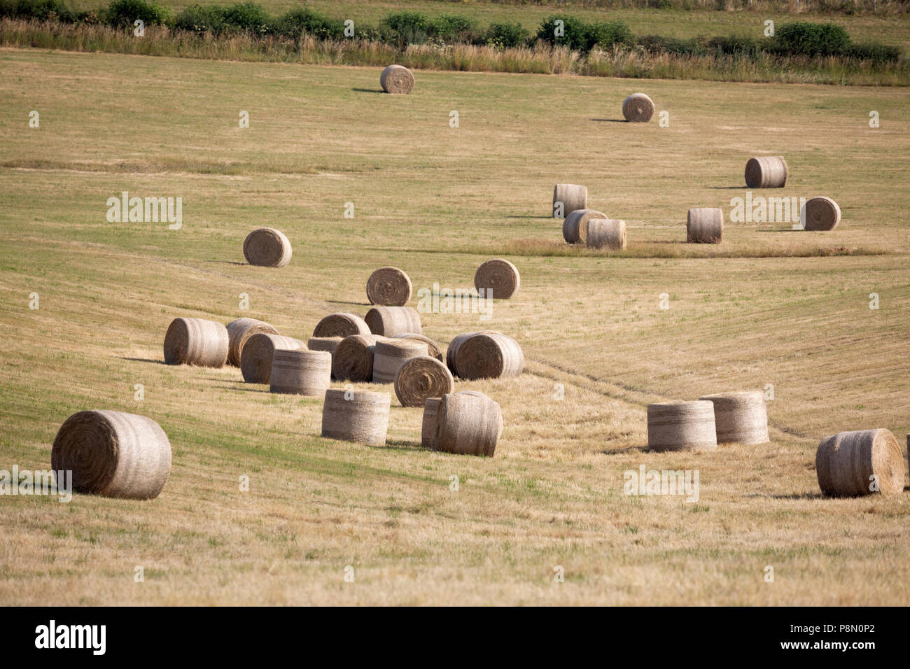 Durcheinander der runde Heuballen im Feld, Berkshire, England, Vereinigtes Königreich, Europa Stockfoto