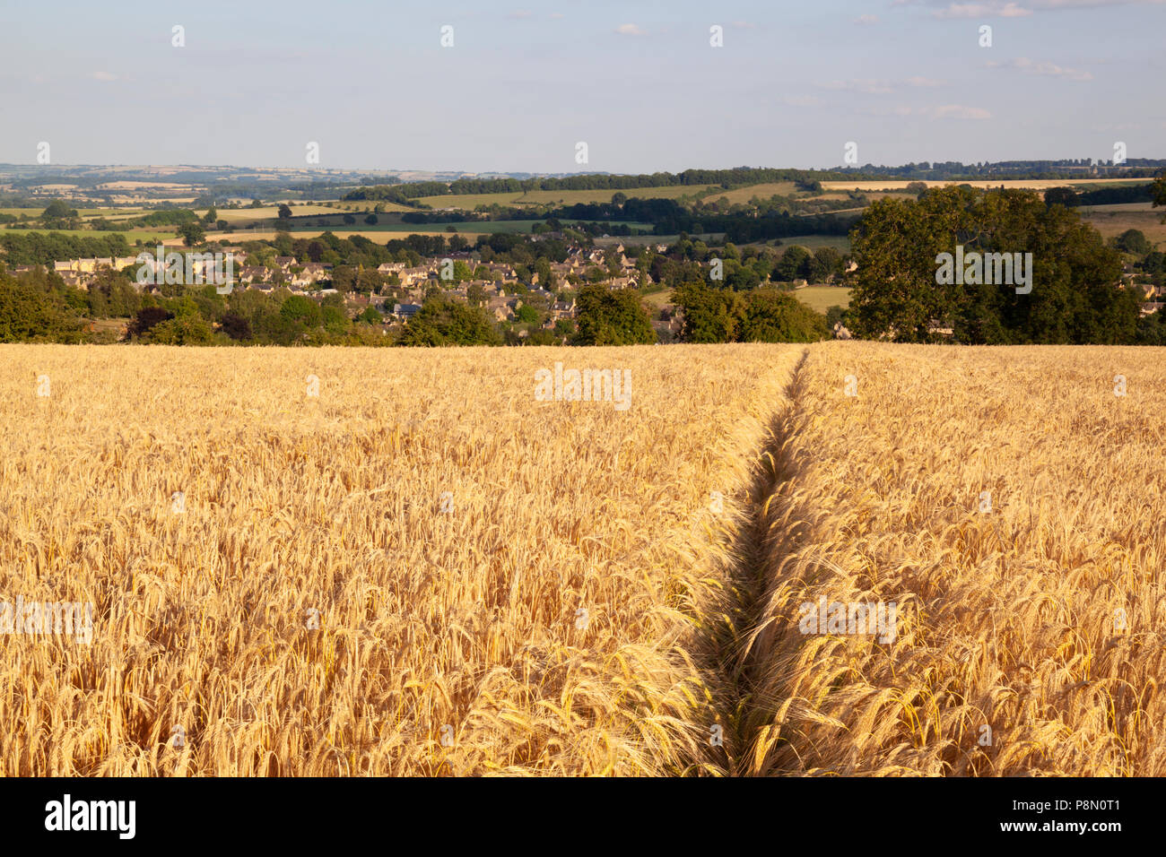 Blick über Feld der Reife golden-braun. Gerste, die Cotswold Stadt Chipping Campden, Chipping Campden, die Cotswolds, Gloucestershire, England, Großbritannien Stockfoto