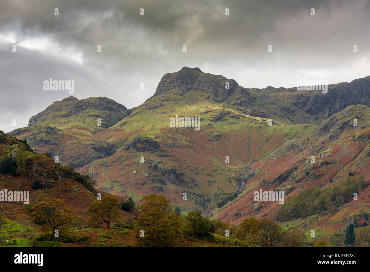 Die Langdale Pikes im Nationalpark Lake District in Cumbria, England. Stockfoto