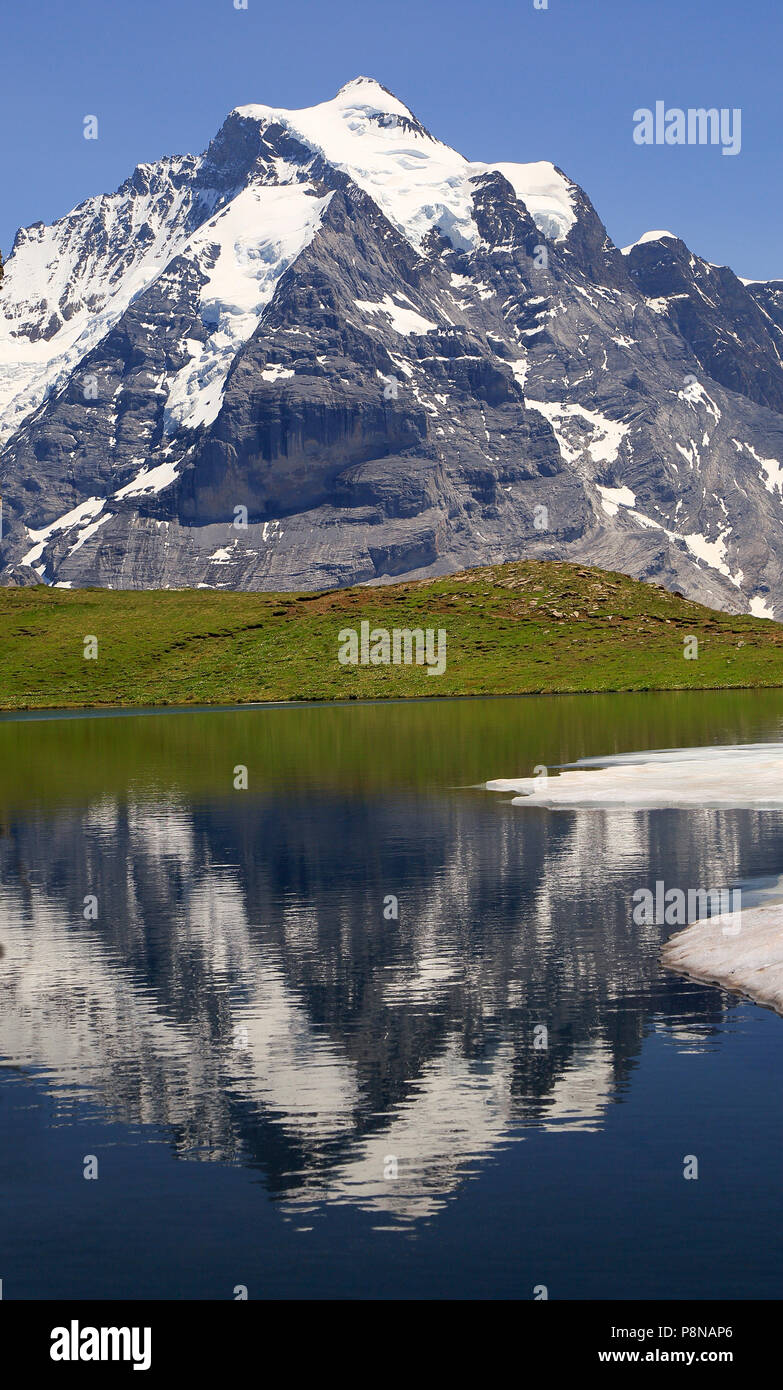 Berg Jungfrau in Grauseewli See, Kanton Bern, Schweiz, Europa Stockfoto