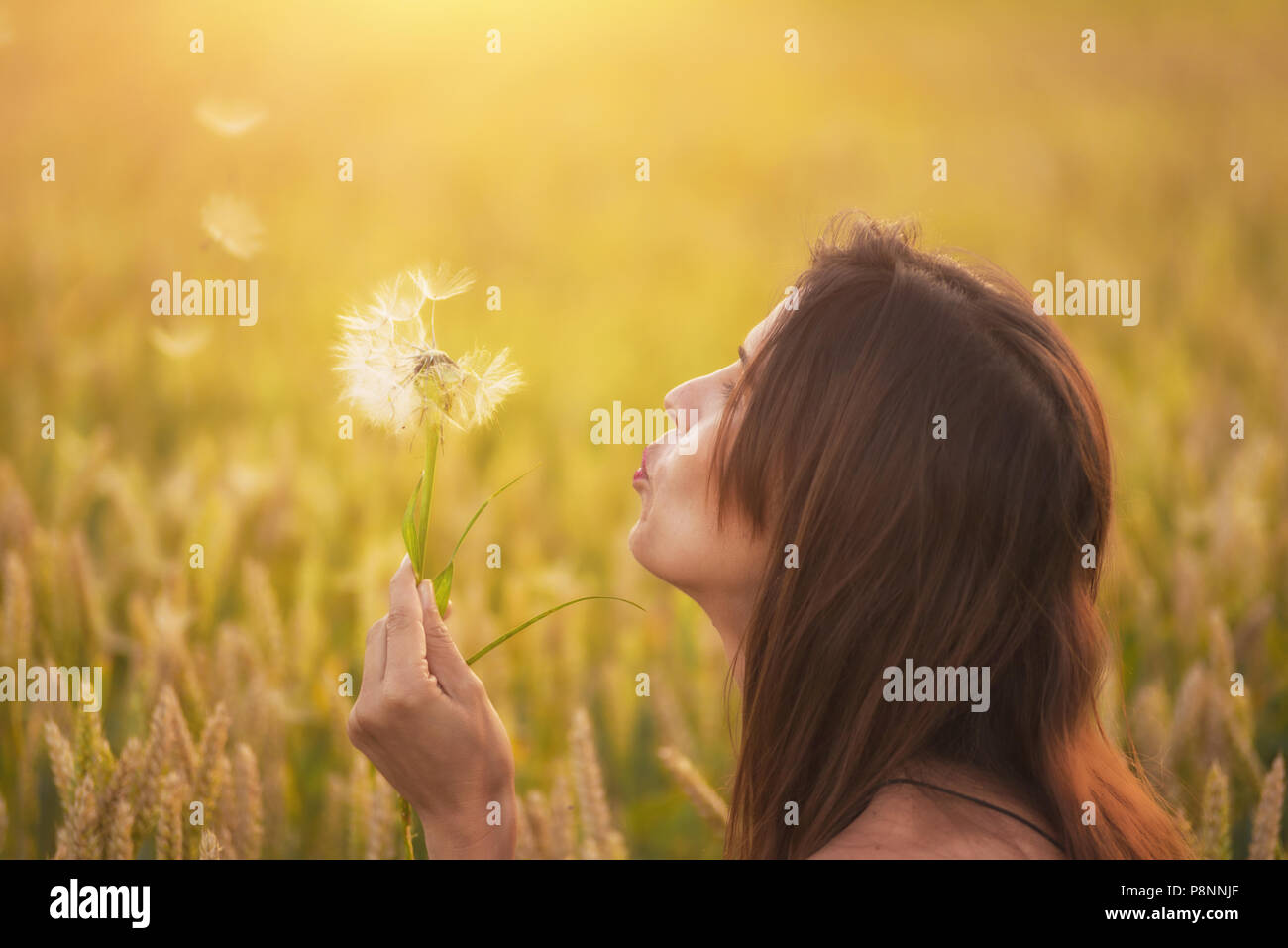 Schöne junge Frau bläst Löwenzahn in ein Weizenfeld im Sommer Sonnenuntergang. Schönheit und Sommer Konzept Stockfoto