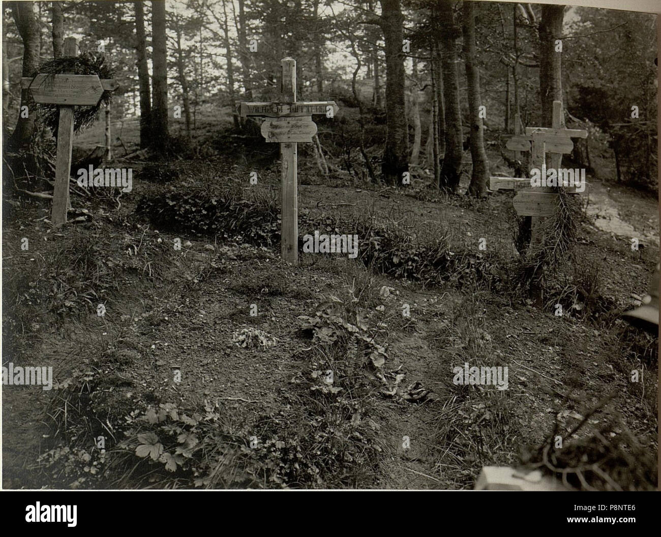 . 326 Heldebfriedhof bin VRSIC. Aufgenommen am 4. Juli 1916. (BildID) 15478962 Stockfoto