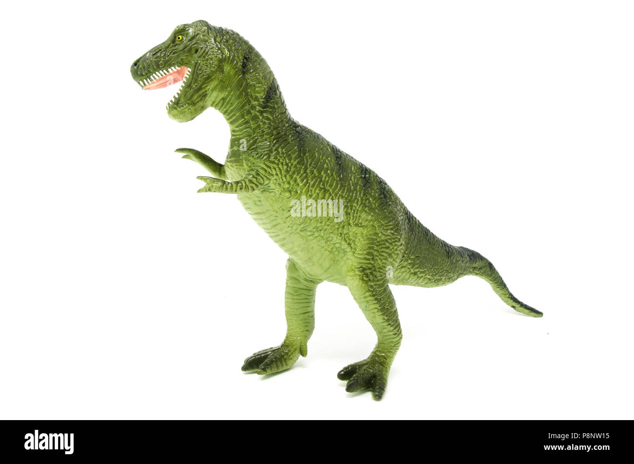 Seite/Front aus Kunststoff grün Tyrannosaurus rex Dinosaurier Spielzeug, auf einem weißen Hintergrund. Stockfoto