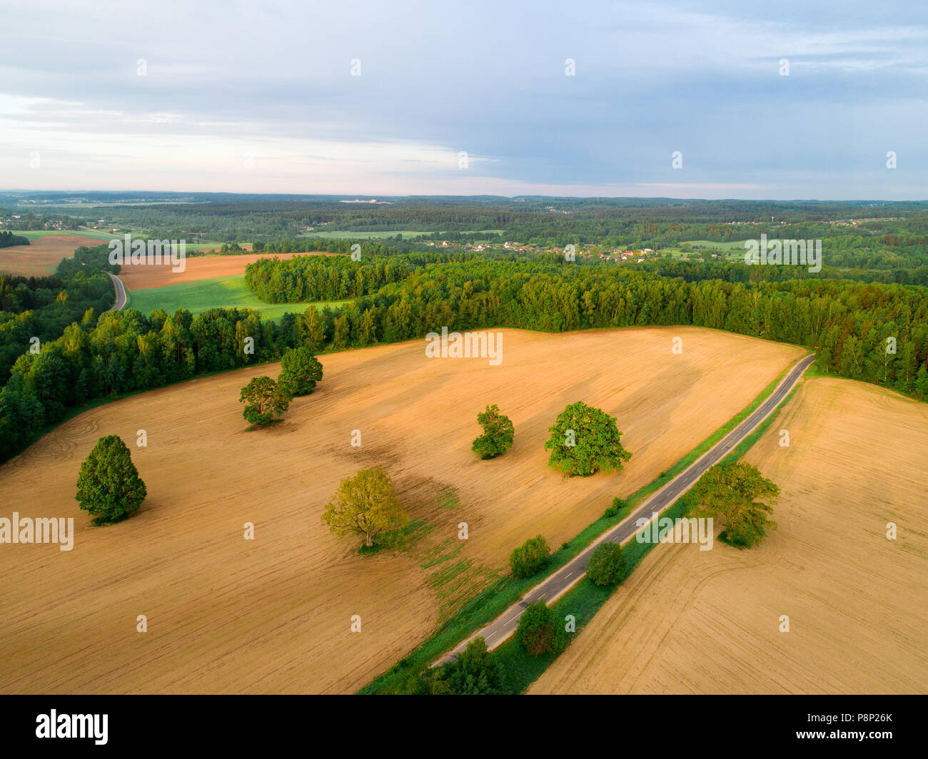 Feder Antenne Landschaft. Straße durch grünen Wald und Feld mit Bäumen. Belarus. Stockfoto