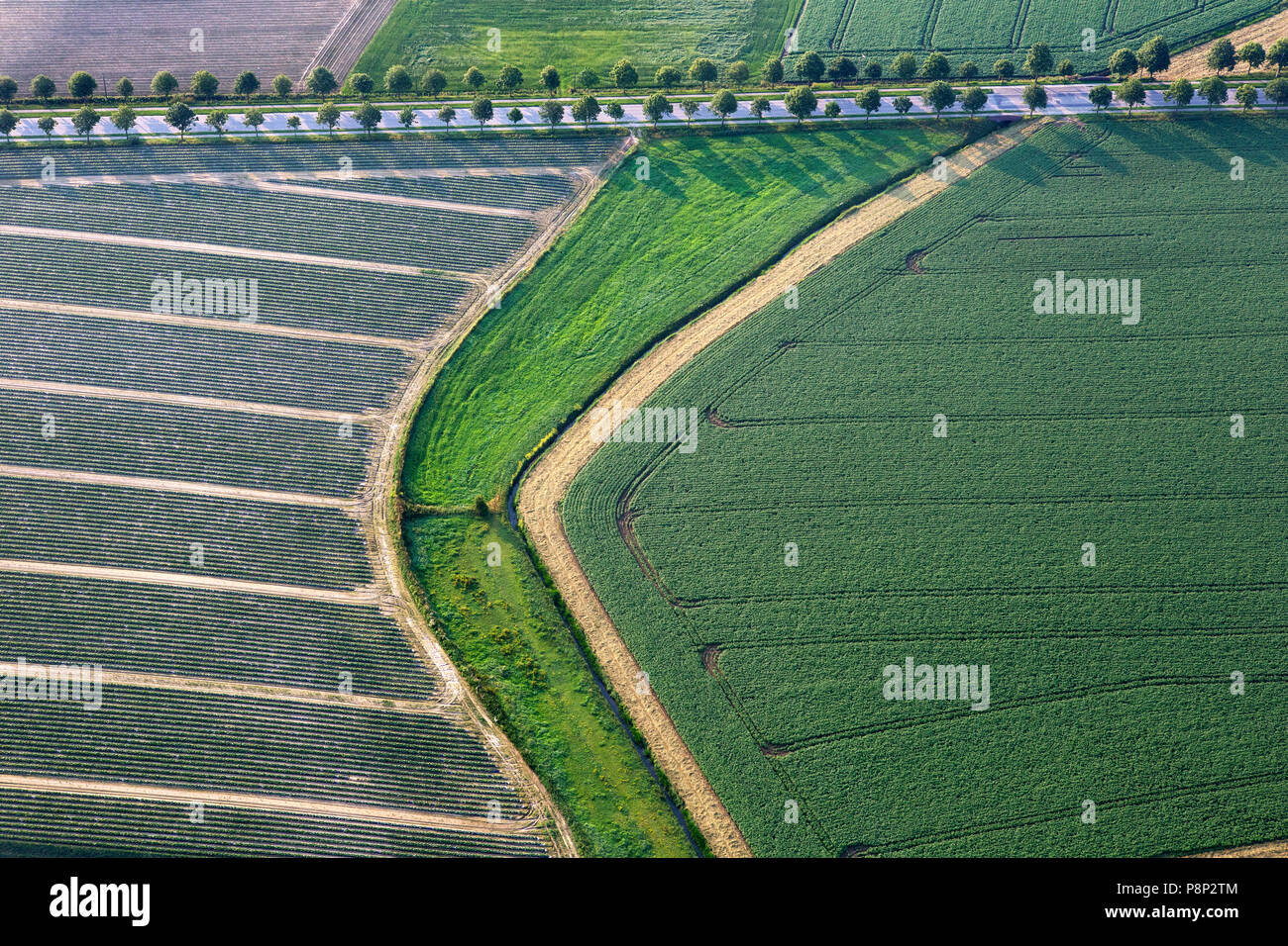 Antenne für landwirtschaftliche Felder und eine Straße mit Bäumen Stockfoto