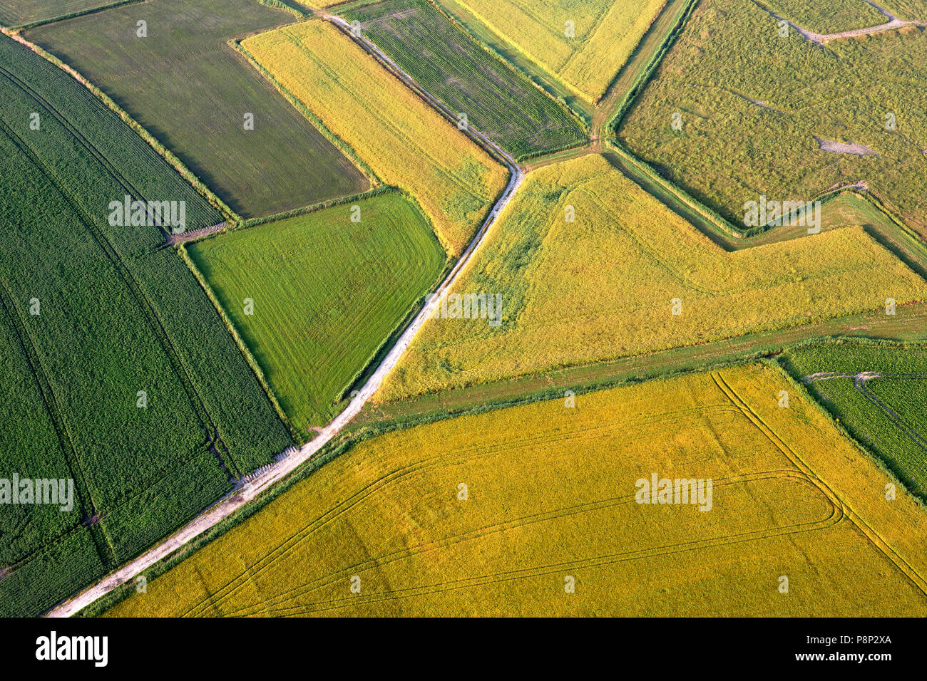 Antenne von landwirtschaftlichen Feldern Stockfoto