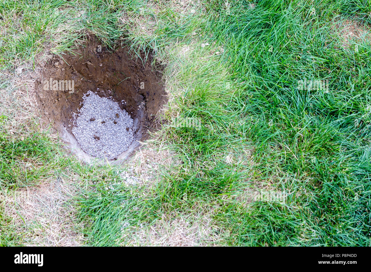 Gips hinzugefgt werden, die fr eine neu gegrabenen Loch der Lehm und als  Dnger fr den neuen Baum am nchsten Tag in einem engen, hohen Winkel zu  gepflanzt werden zu lsen Stockfotografie -