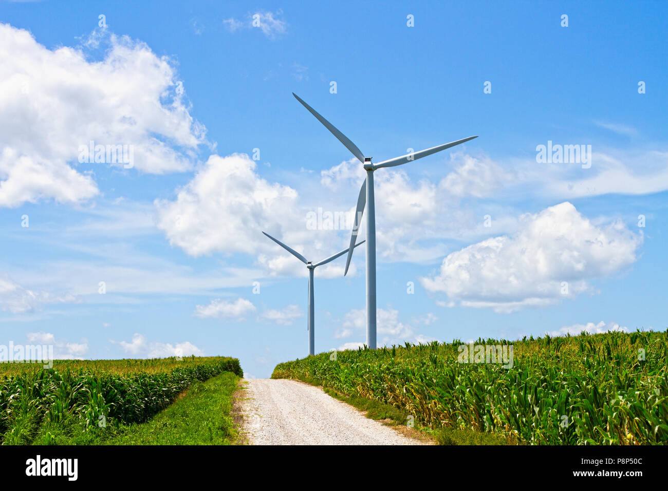 Nachhaltige, umweltfreundliche Windkraftanlagen in einem Maisfeld Stockfoto
