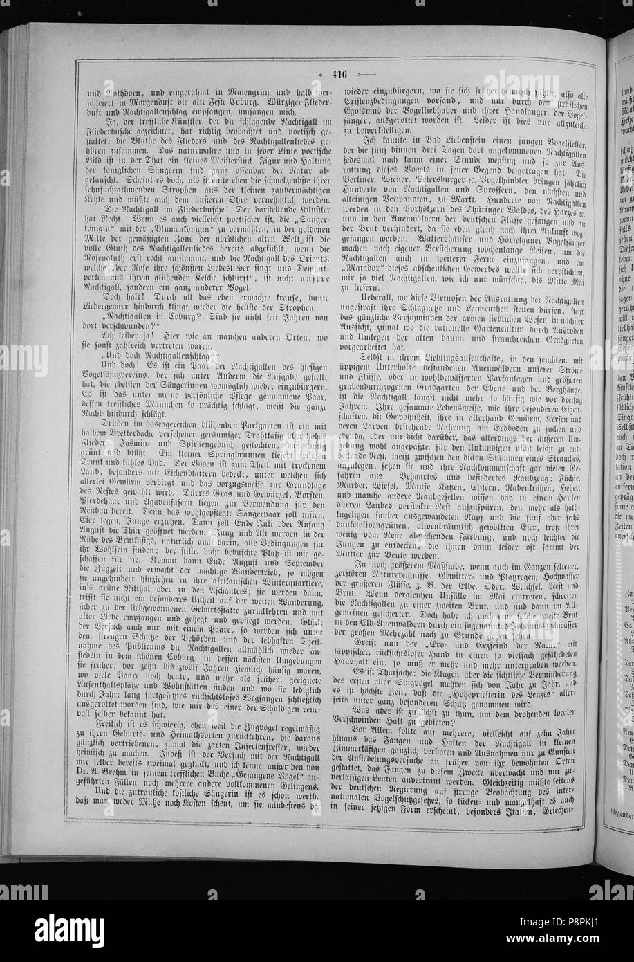 . 176 sterben Gartenlaube (1874) 416 Stockfoto