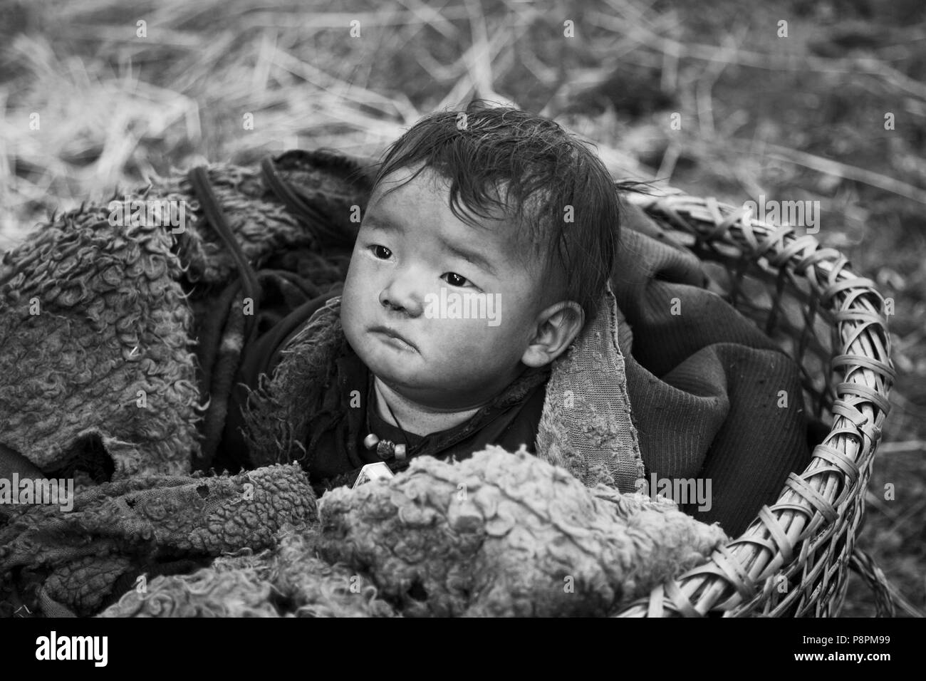 Ein NEPALI Baby ruht in einem Korb in NUPRI - um MANASLU Trekking, NEPAL Stockfoto