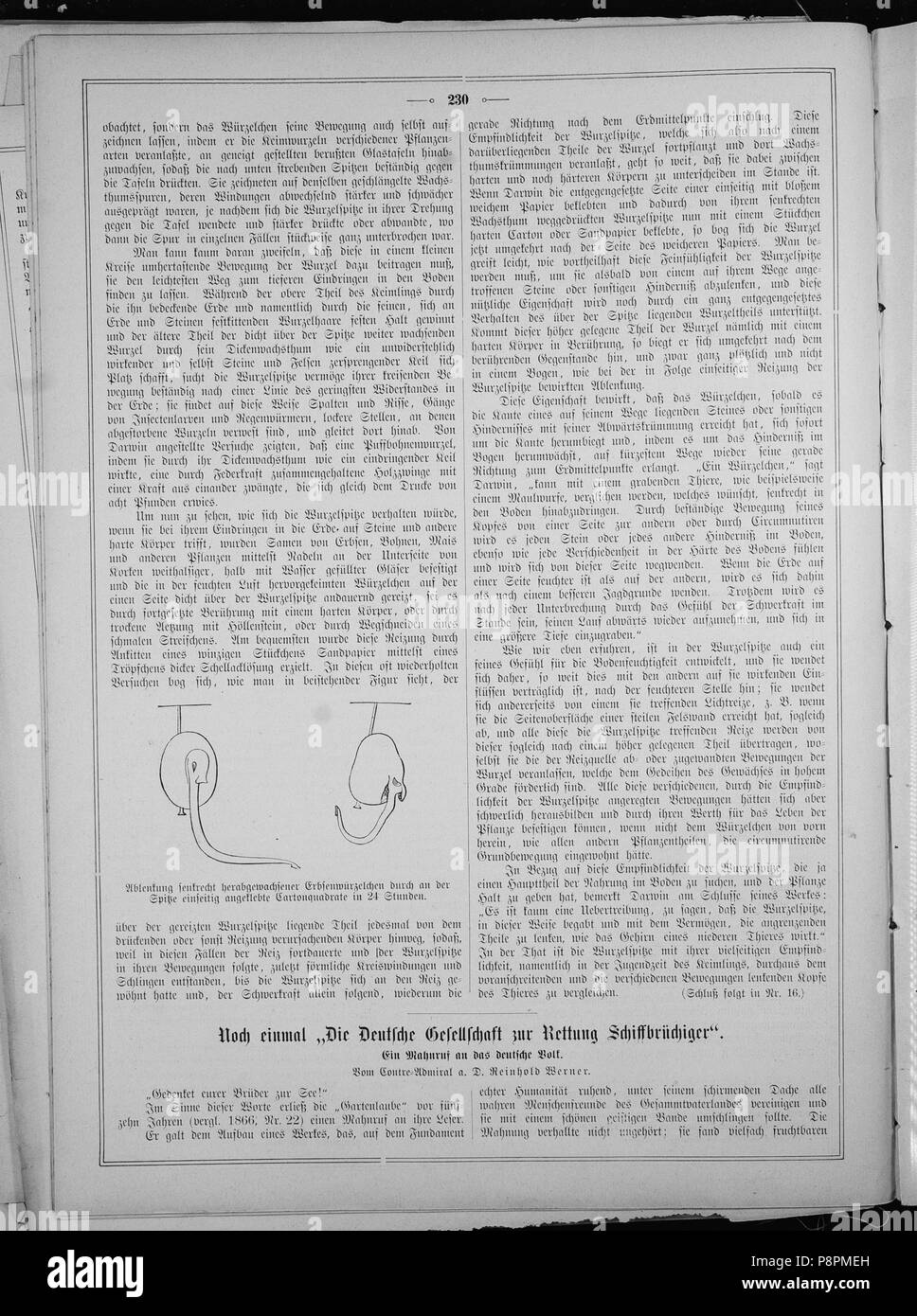 . 200 sterben Gartenlaube (1881) 230 Stockfoto