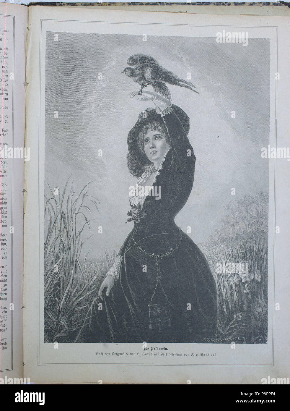 . 203 sterben Gartenlaube (1881) 777 Stockfoto