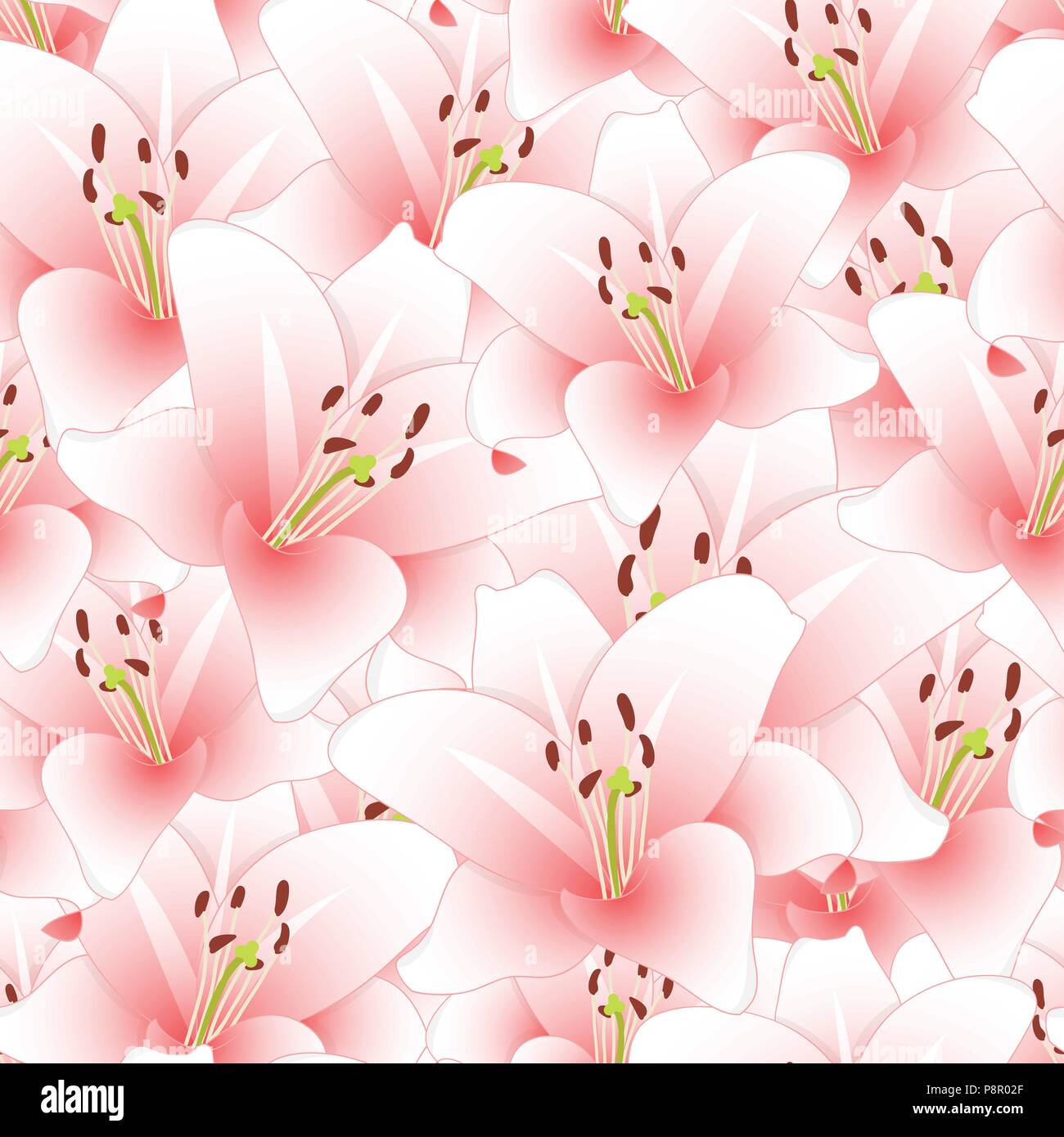 Rosa Lilie Blume nahtlose Hintergrund. Vector Illustration. Stock Vektor