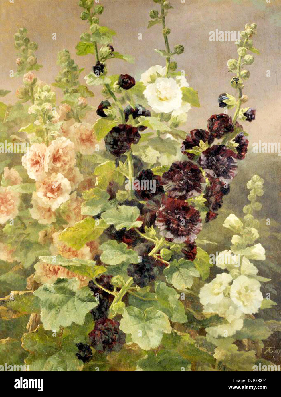 . 38 Anthonore Christensen - Stockrosen, 1894 Stockfoto