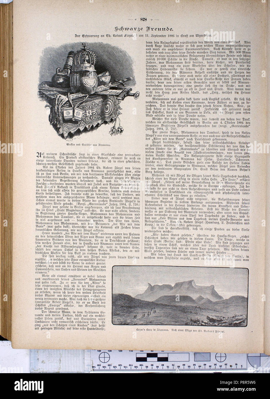 . 225 sterben Gartenlaube (1886) 828 Stockfoto