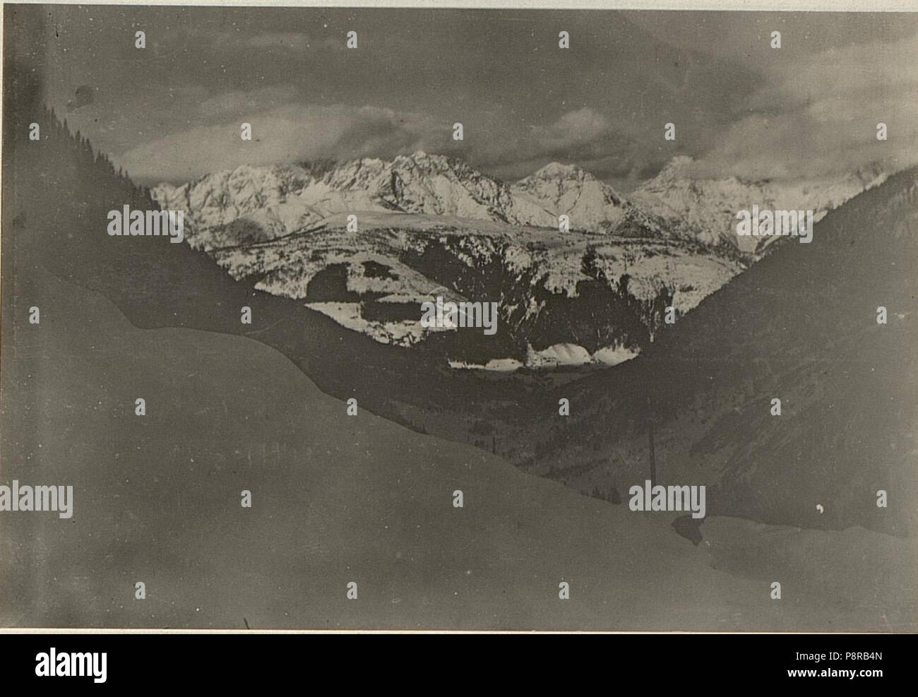 . 439 Obere Luggauer Alm. Blick gegen Norden. (BildID) 15472024 Stockfoto