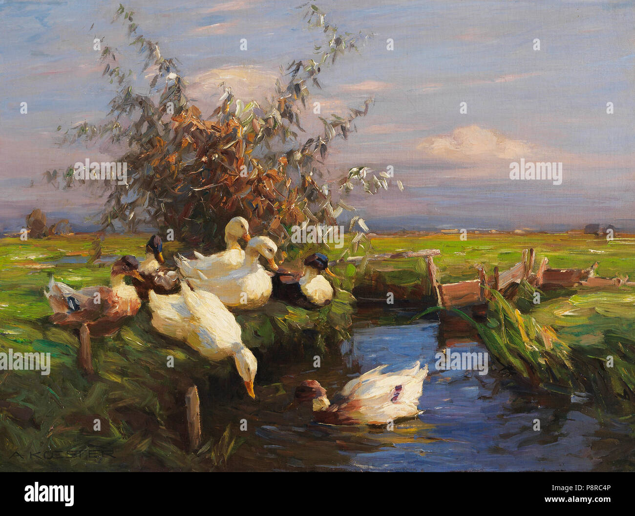 . 33 Alexander Koester Sieben Enten am Graben Stockfoto