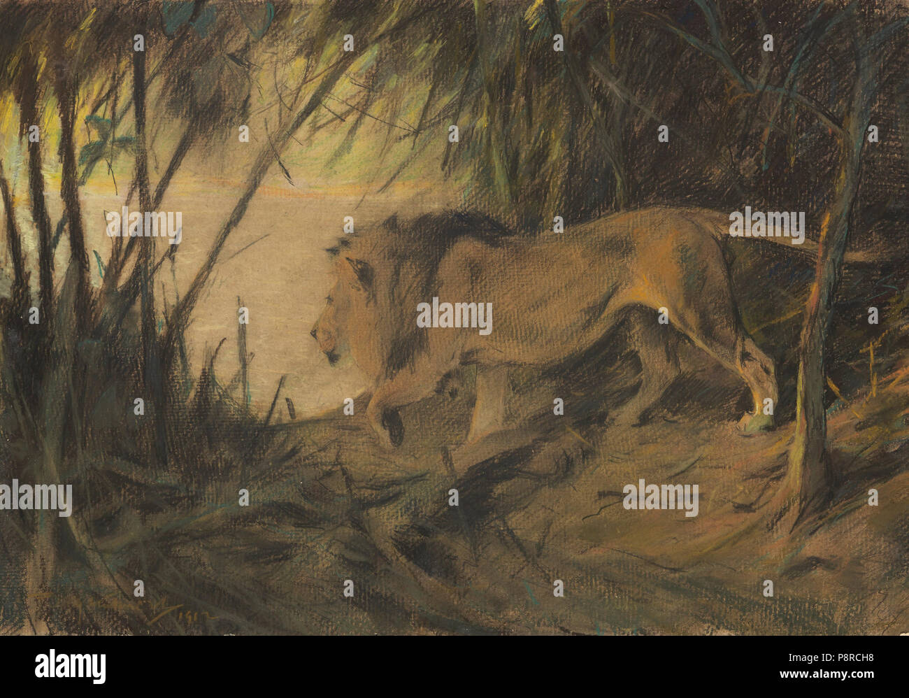 583 Wilhelm Kuhnert Löwe zum Flusse ziehend Stockfoto