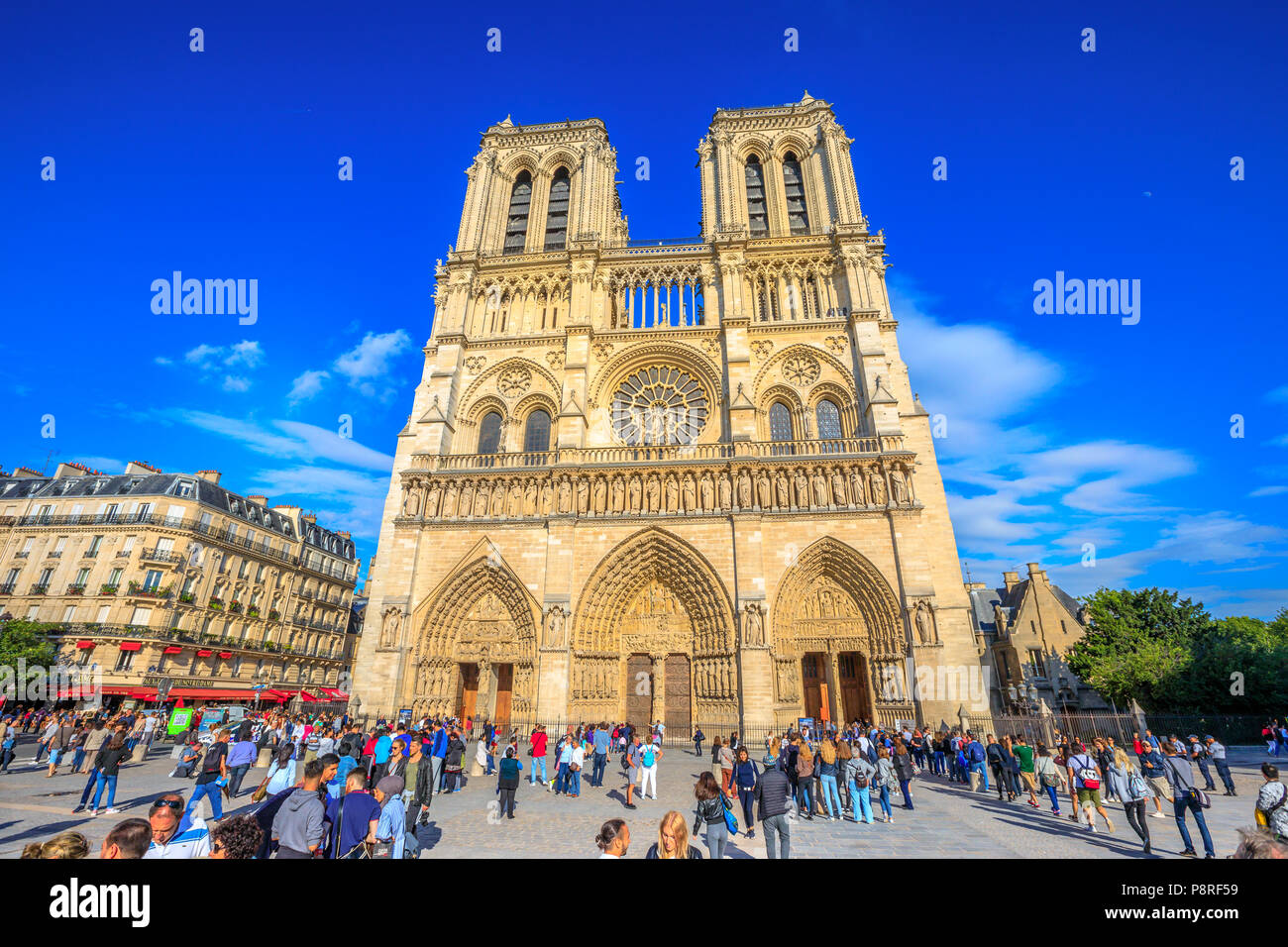 Paris, Frankreich, 1. Juli 2017: Viele Touristen in eckigen von Notre Dame de Paris, der Ile de la Cite, während Sie warten die berühmte gotische Kirche zu besuchen. Sonnigen Tag, blauer Himmel. Die Fassade der Kathedrale von Paris. Stockfoto