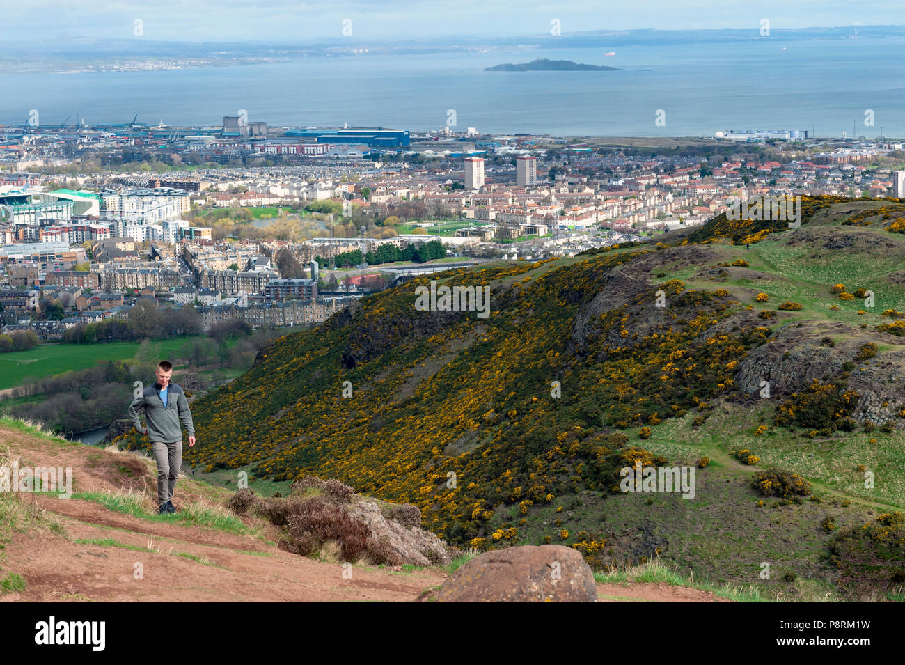 Grasbewachsene Hänge der Hügel auf einem Bergwandern Route bis zu Arthur's Seat, dem höchsten Punkt in Edinburgh Holyrood Park, Schottland, Großbritannien Stockfoto