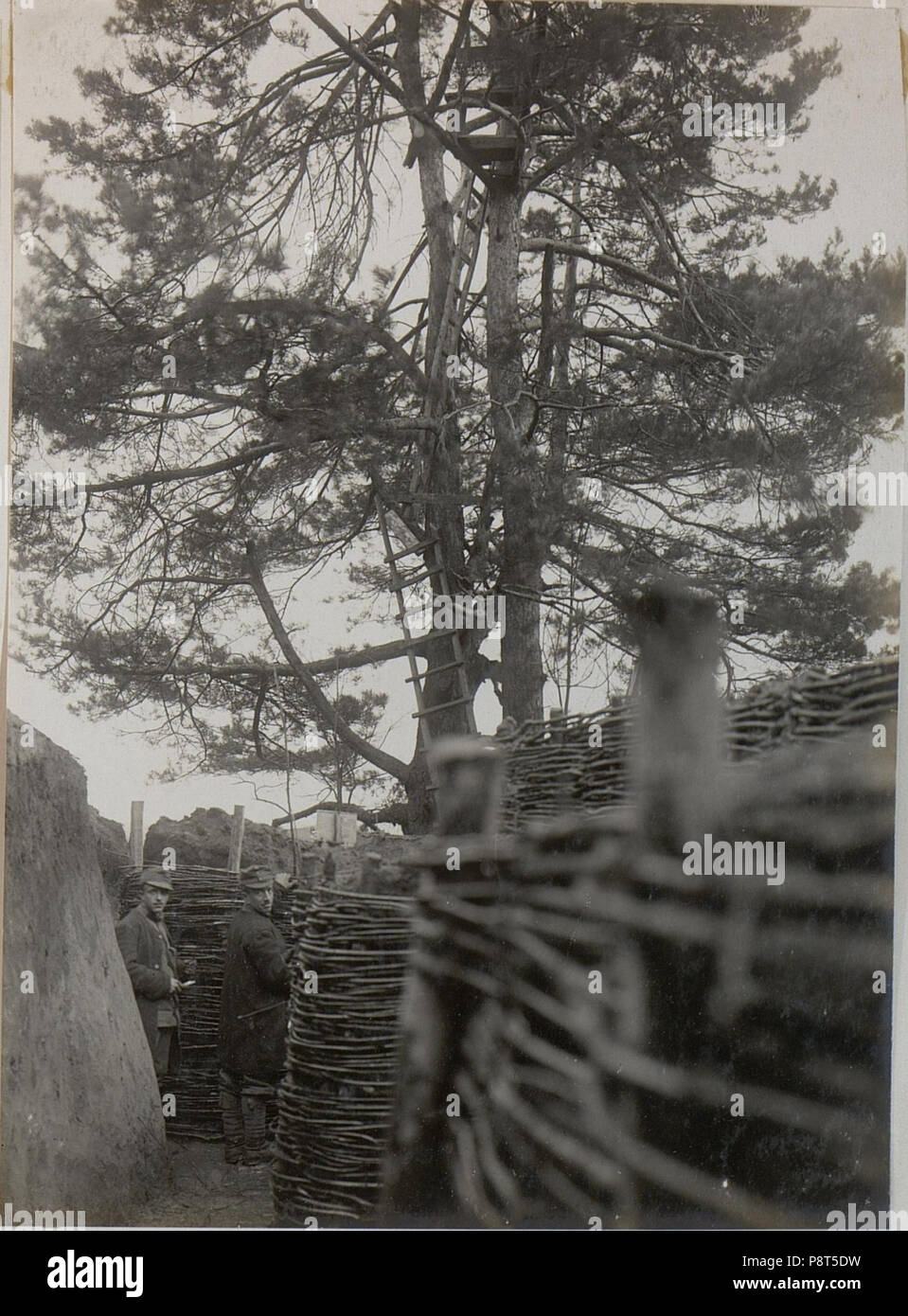 40 Artillerieaufklärer in der Schwarmlinie im Park Palästina (BildID) 15442804 Stockfoto