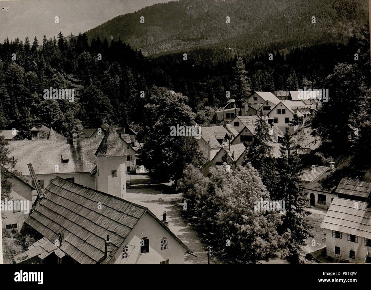 547 Stückl-Weissenfels. (19-6.1917.) (BildID) 15799111 Stockfoto