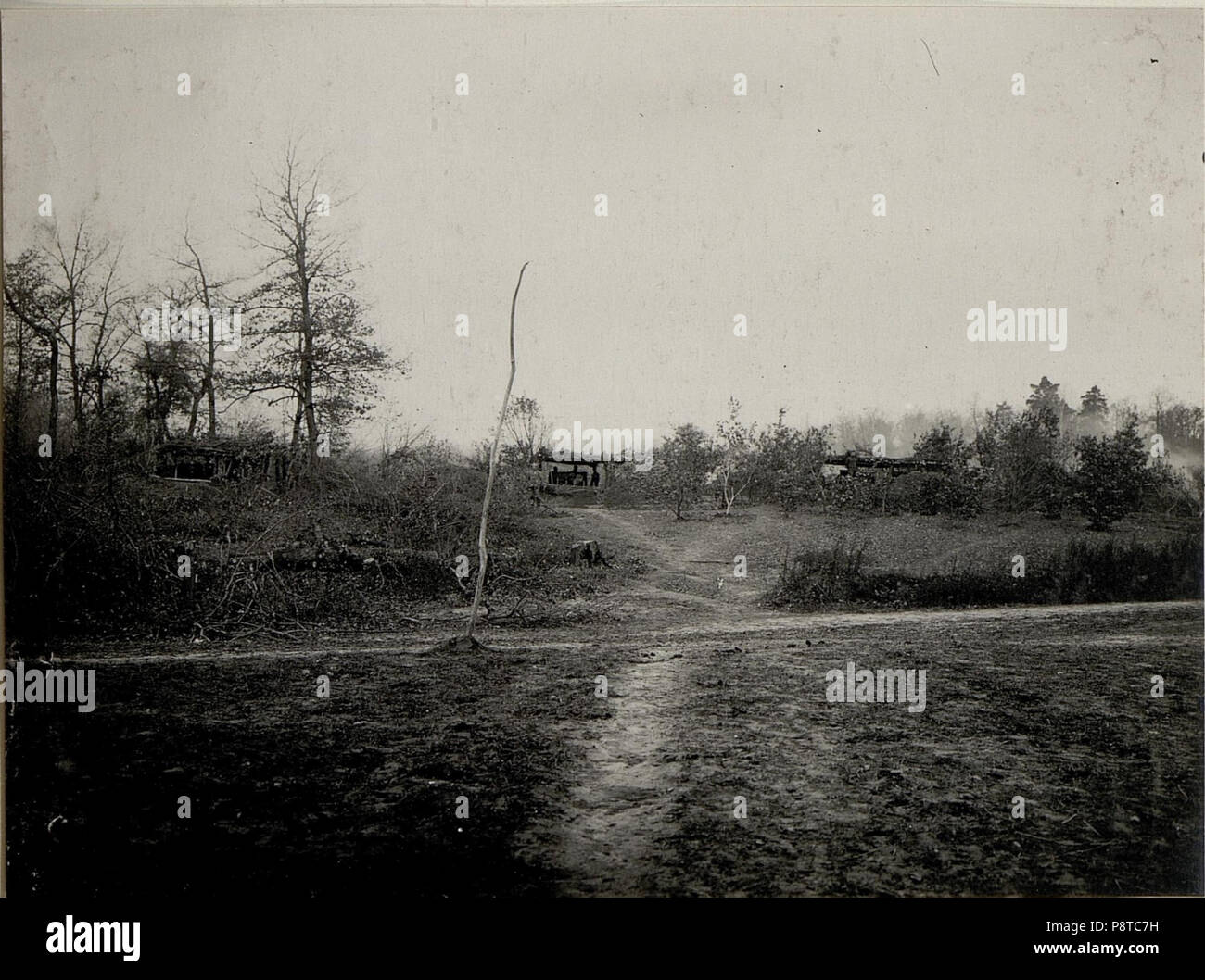 51 Batterie 2 des FKR. Nro. 29 in einer Darm maskierten Stellung südwestlich von MALIN. Aufgenommen am 19. November 1915. (BildID) 15540741 Stockfoto