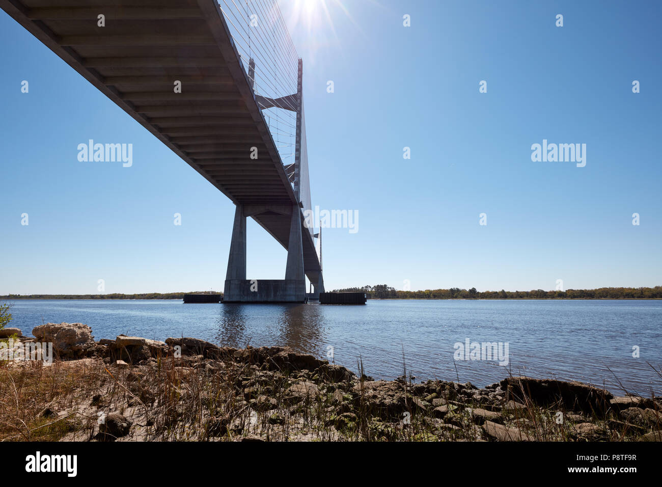 Unter Dames Point Bridge über den St. Johns River, Jacksonville, Florida Stockfoto