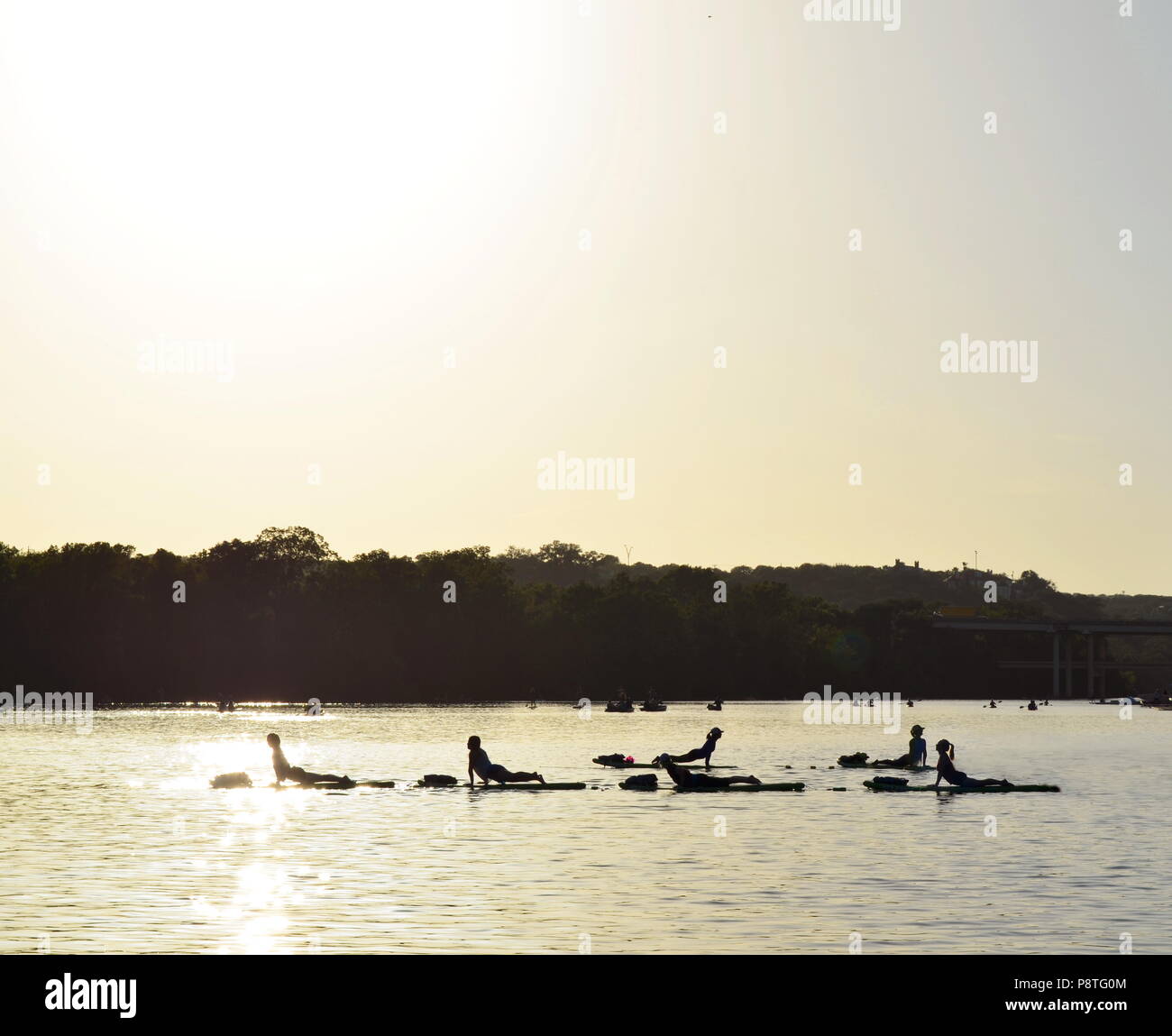 Am frühen Morgen Yoga auf Paddle Boards auf Marienkäfer See in Austin, Texas Stockfoto