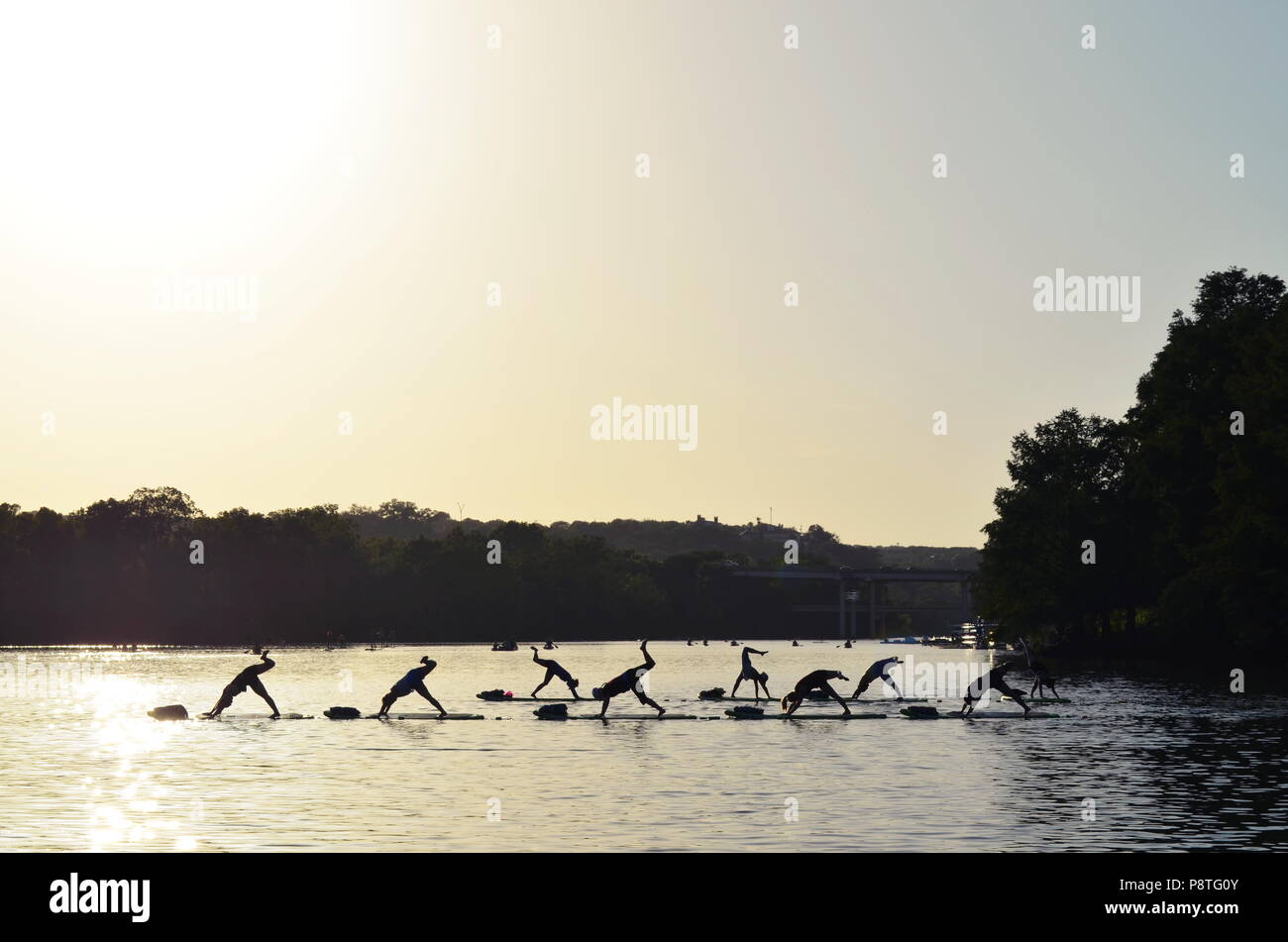 Am frühen Morgen Yoga auf Paddle Boards auf Marienkäfer See in Austin, Texas Stockfoto