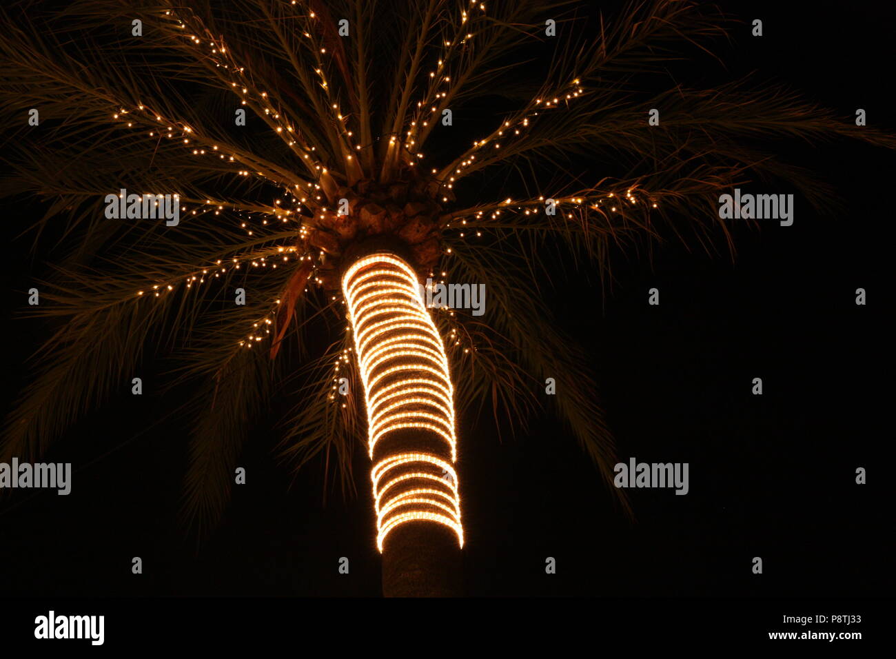 Palme in Weihnachten Lichterketten in Port de Soller Mallorca abgedeckt Stockfoto