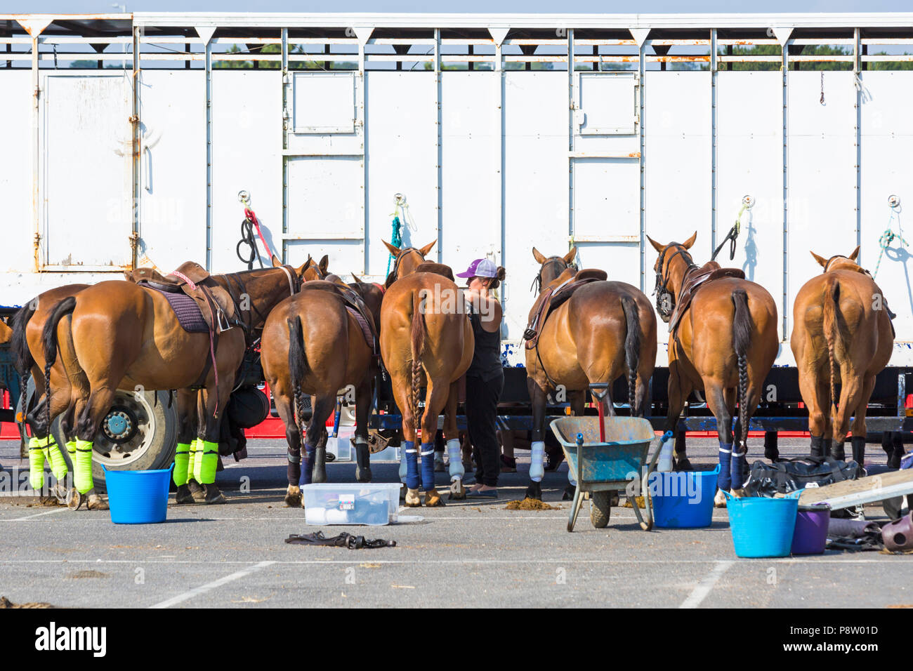 Sandbänke, Poole, Dorset, Großbritannien, 13. Juli 2018. Die britische Beach Polo Meisterschaften erhält unterwegs bei Sandbanks Beach, Poole an einem warmen sonnigen Tag. Die zweitägige Veranstaltung findet am Freitag und Samstag die Besucher des Beach Head der Aktion zu sehen. Credit: Carolyn Jenkins/Alamy leben Nachrichten Stockfoto