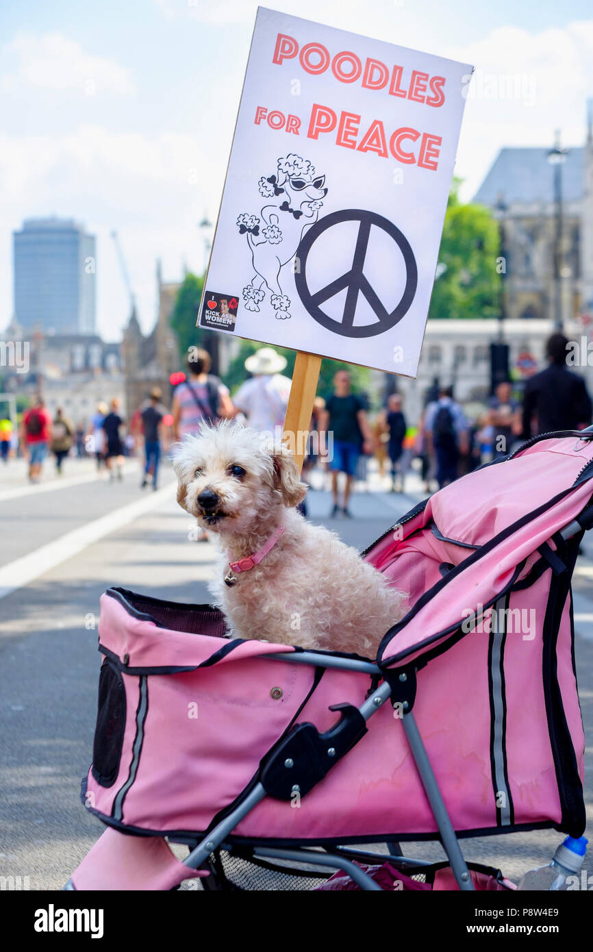 London, Großbritannien. 13. Juli 2018. Zehntausende von Menschen auf den Straßen von London gegen uns Präsident Donald Trump Besuch in Großbritannien zu protestieren. Im Bild: Eine Pudel sitzt in einem Buggy mit einem Pudel für Frieden Plakat. Credit: Mark Phillips/Alamy leben Nachrichten Stockfoto
