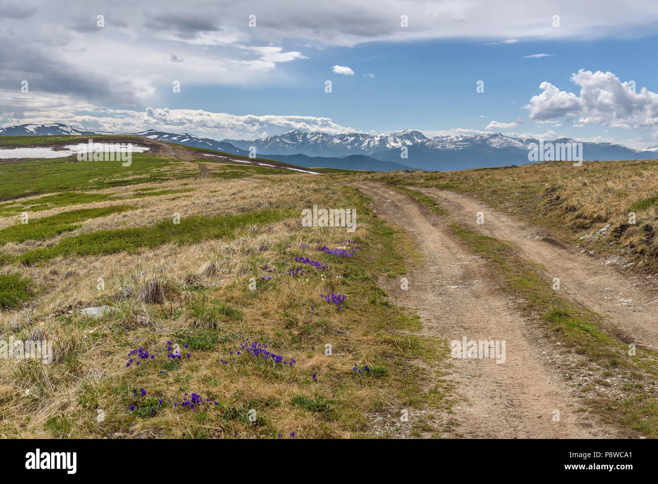Rocky Schmutz steile kurvenreiche Straße durch einen Pass auf die Spitze des Berges mit Blumen auf der Straße Stockfoto