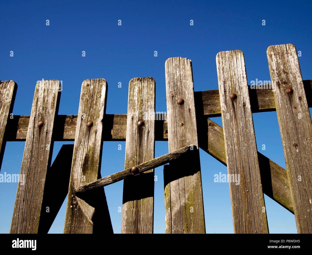 In der Nähe auf einem alten hölzernen Tor unter einem wolkenlosen Himmel Stockfoto