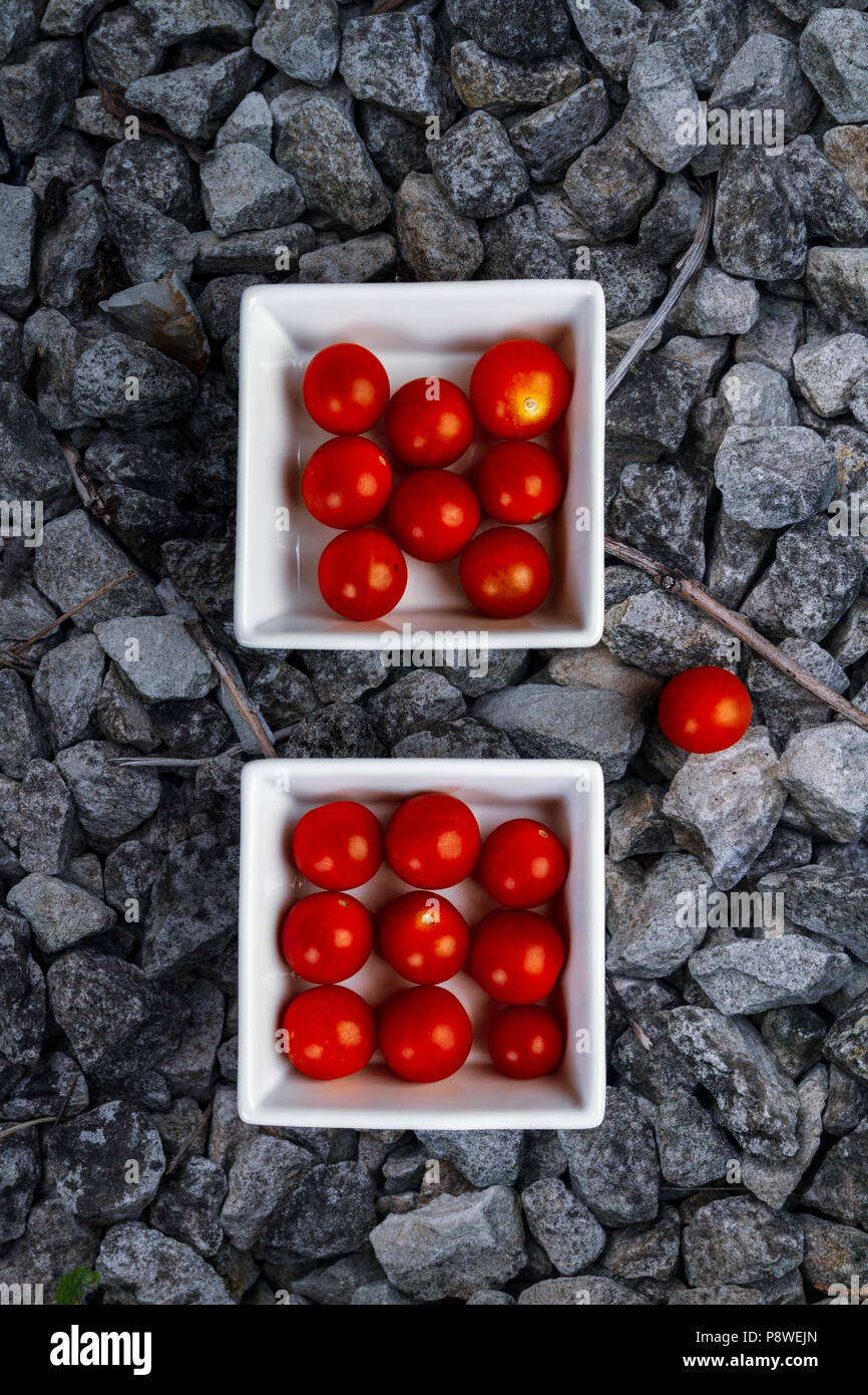 Plum Tomaten aus weisser Keramik Geschirr Stockfoto