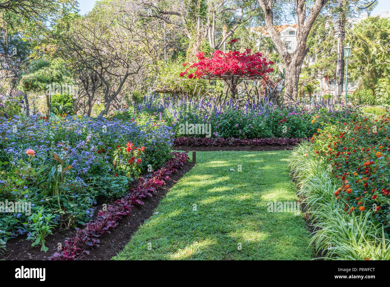 Jardim Municipal do Funchal, Madeira Stockfoto