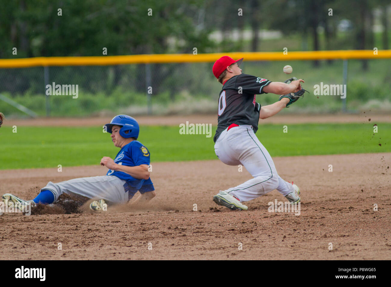 Baseball Action Shot, wilde werfen, die als zweiter die zweite Basis stiehlt, jungen Nachmittag junior Baseball Spiel. Cranbrook, BC. Stockfoto