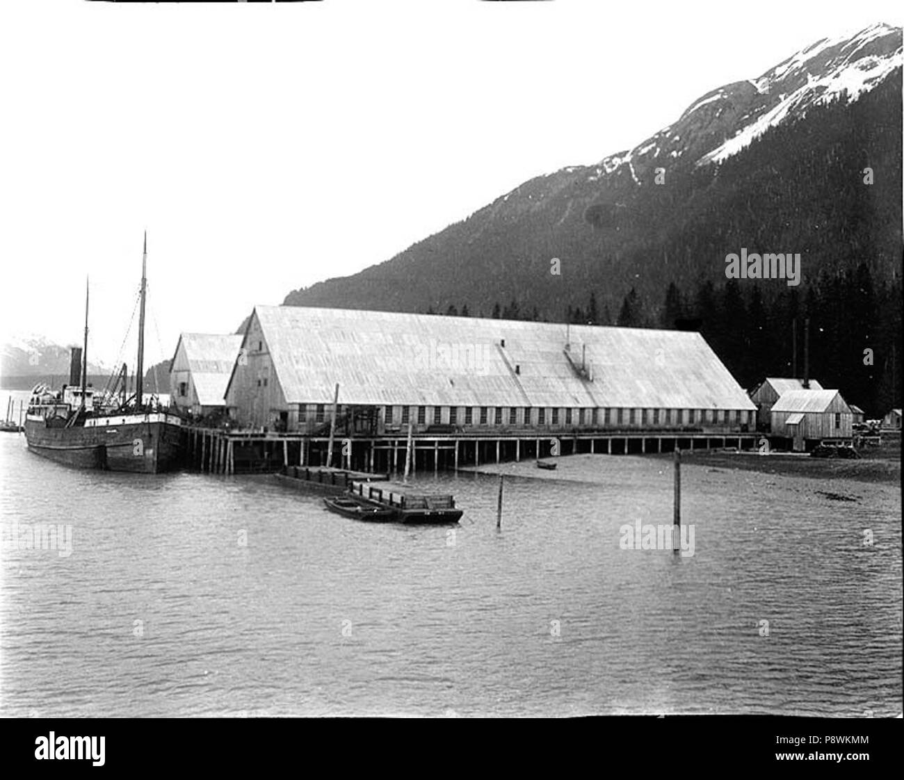 . 73 Cannery der Pazifischen amerikanischen Fischerei, Exkursion Einlass, ALaska, 11. Juni 1911 (COBB 155) Stockfoto