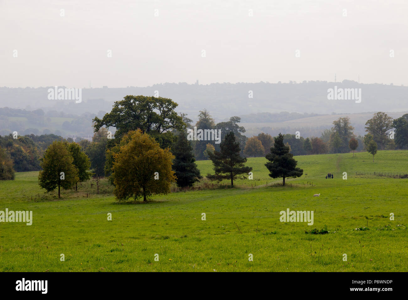 Anzeigen von Ashton Hof, Bristol Stockfoto